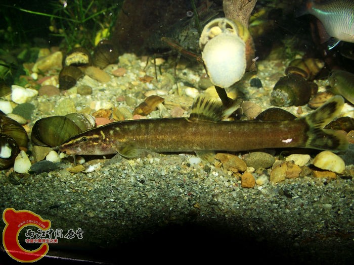DSCF5053.jpg