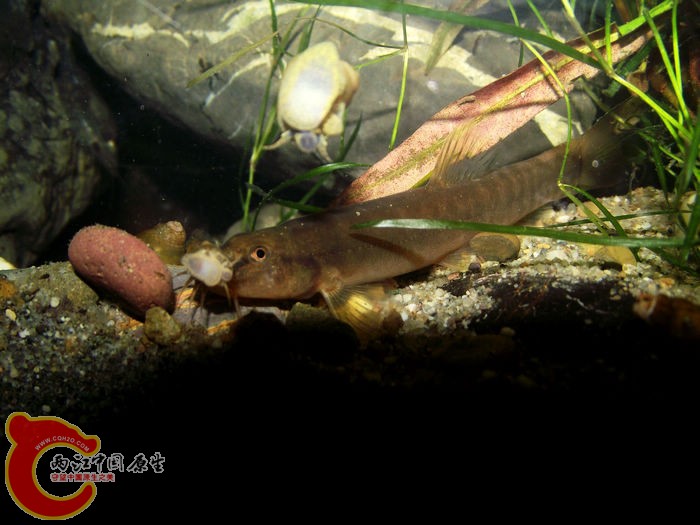 DSCF4962.jpg
