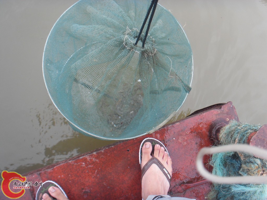 SDC17074.JPG