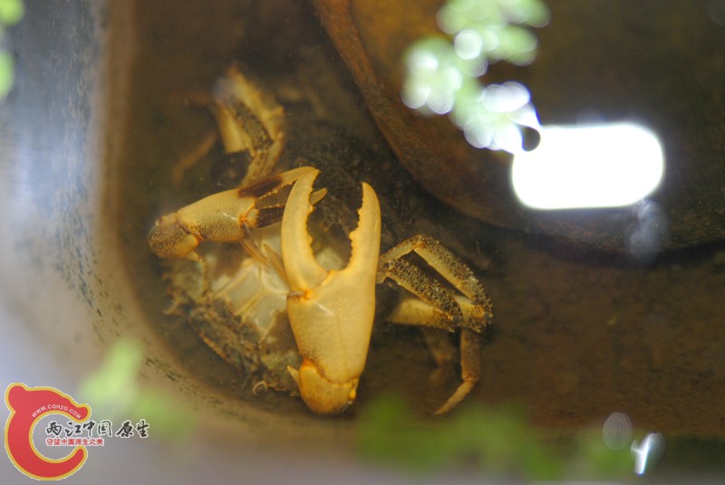 DSC_0502.JPG