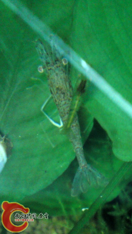 P24-06-11_12 1.jpg