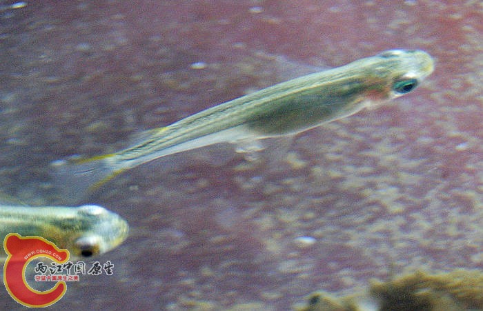 DSC02152.jpg