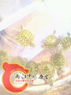 IMG0027A.jpg