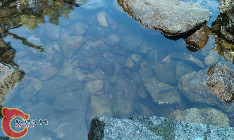IMAG0049_缩小大小.jpg
