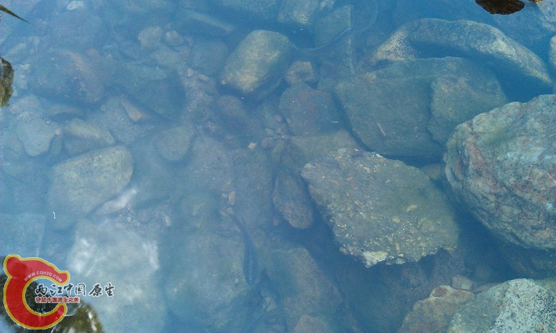 IMAG0050_缩小大小.jpg