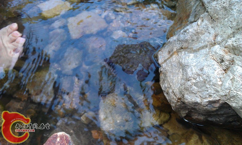 IMAG0054_缩小大小.jpg