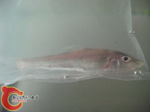 test1 352.jpg