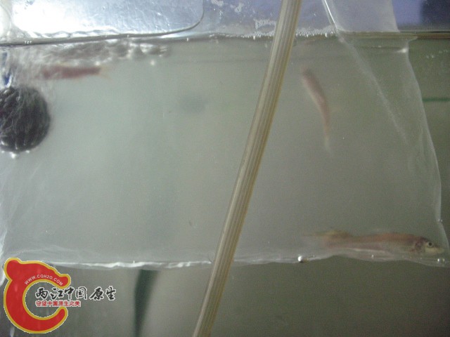test1 353.jpg
