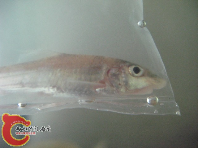 test1 357.jpg