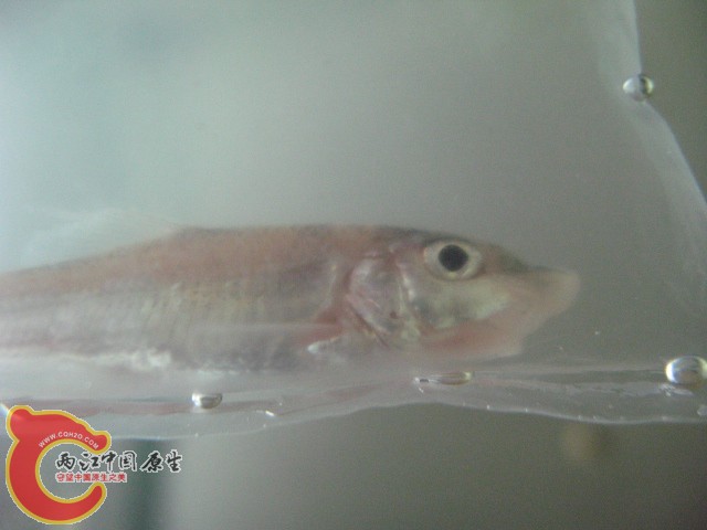 test1 358.jpg