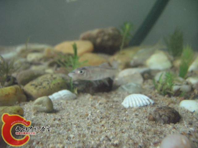 test1 360.jpg