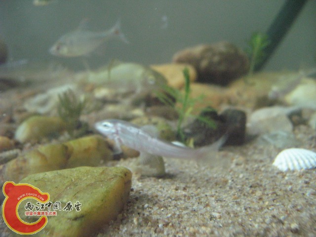 test1 361.jpg