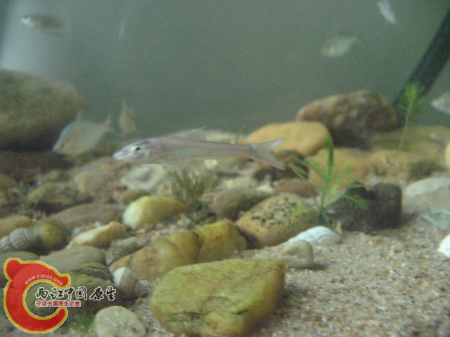 test1 369.jpg