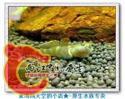 网上找的波氏