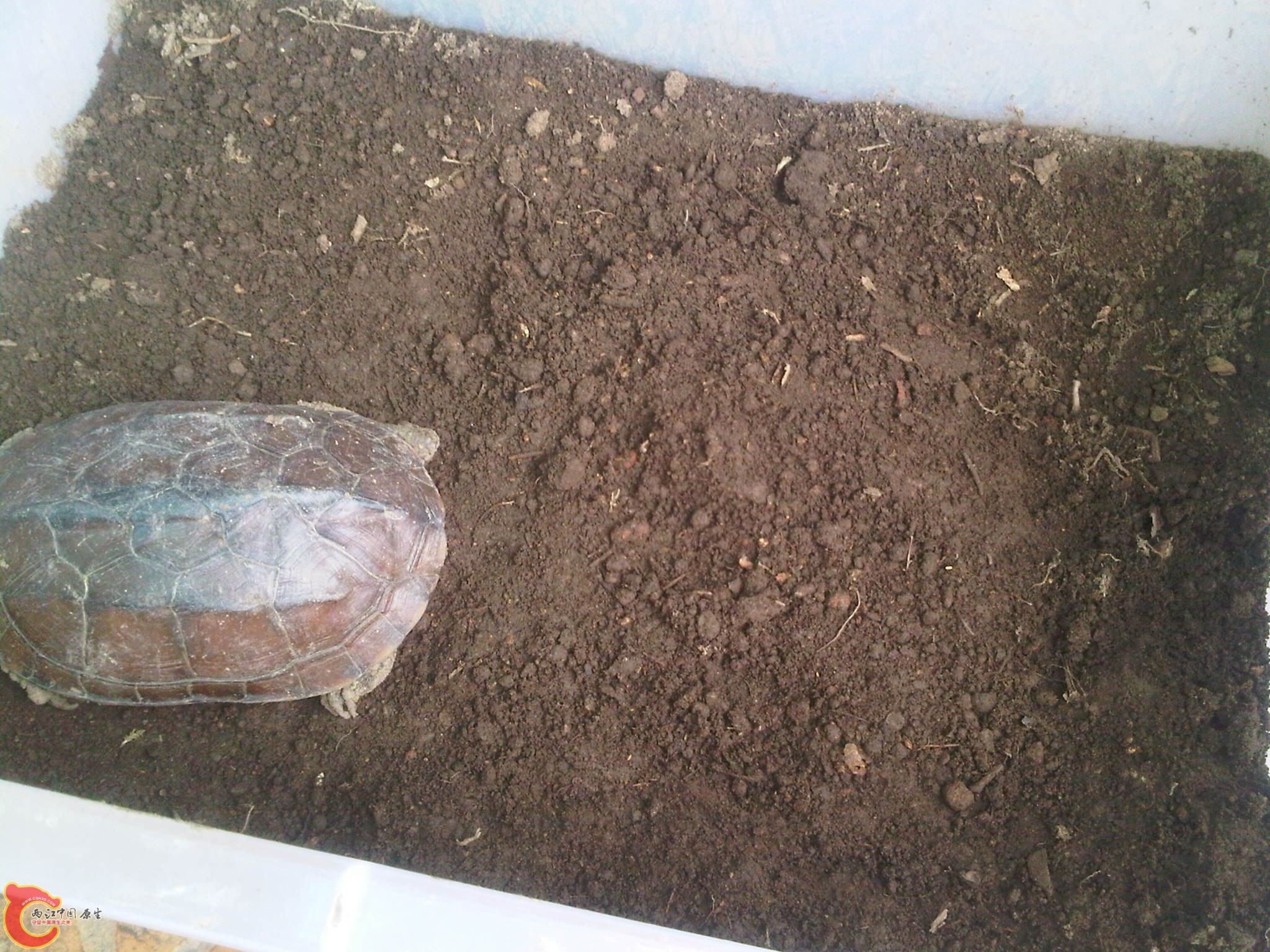 IMG00300-20110628-0902.jpg