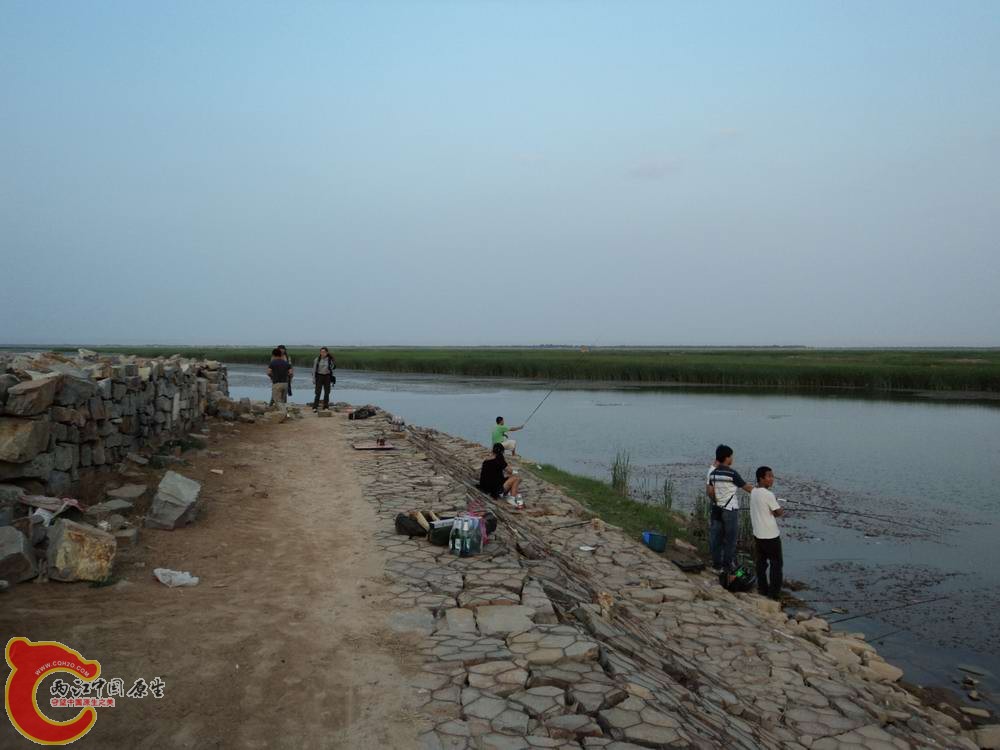 DSC01375s.jpg