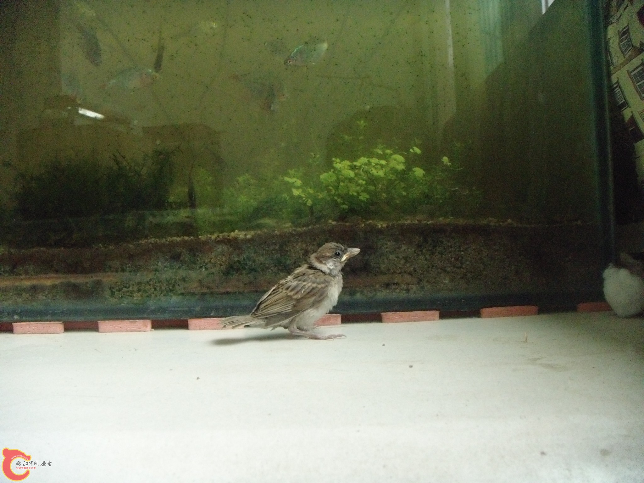 DSC04258.JPG