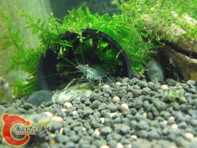 DSCF5087.JPG