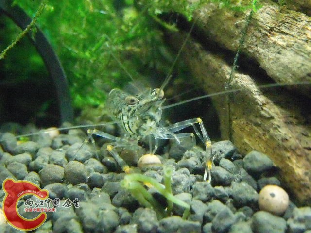 DSCF5099.JPG