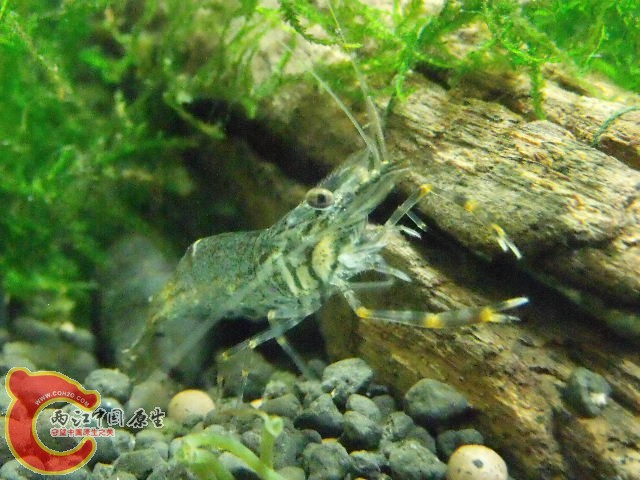 DSCF5104.JPG