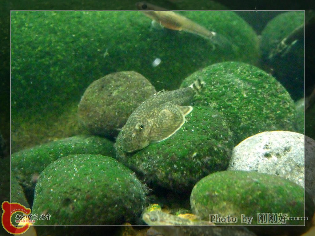 DSCF3567.JPG
