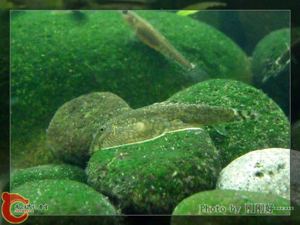DSCF3568.JPG