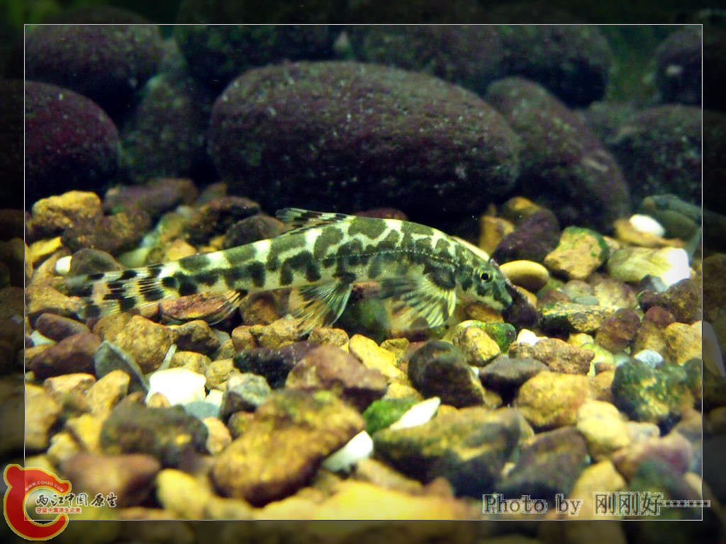 DSCF4275.JPG