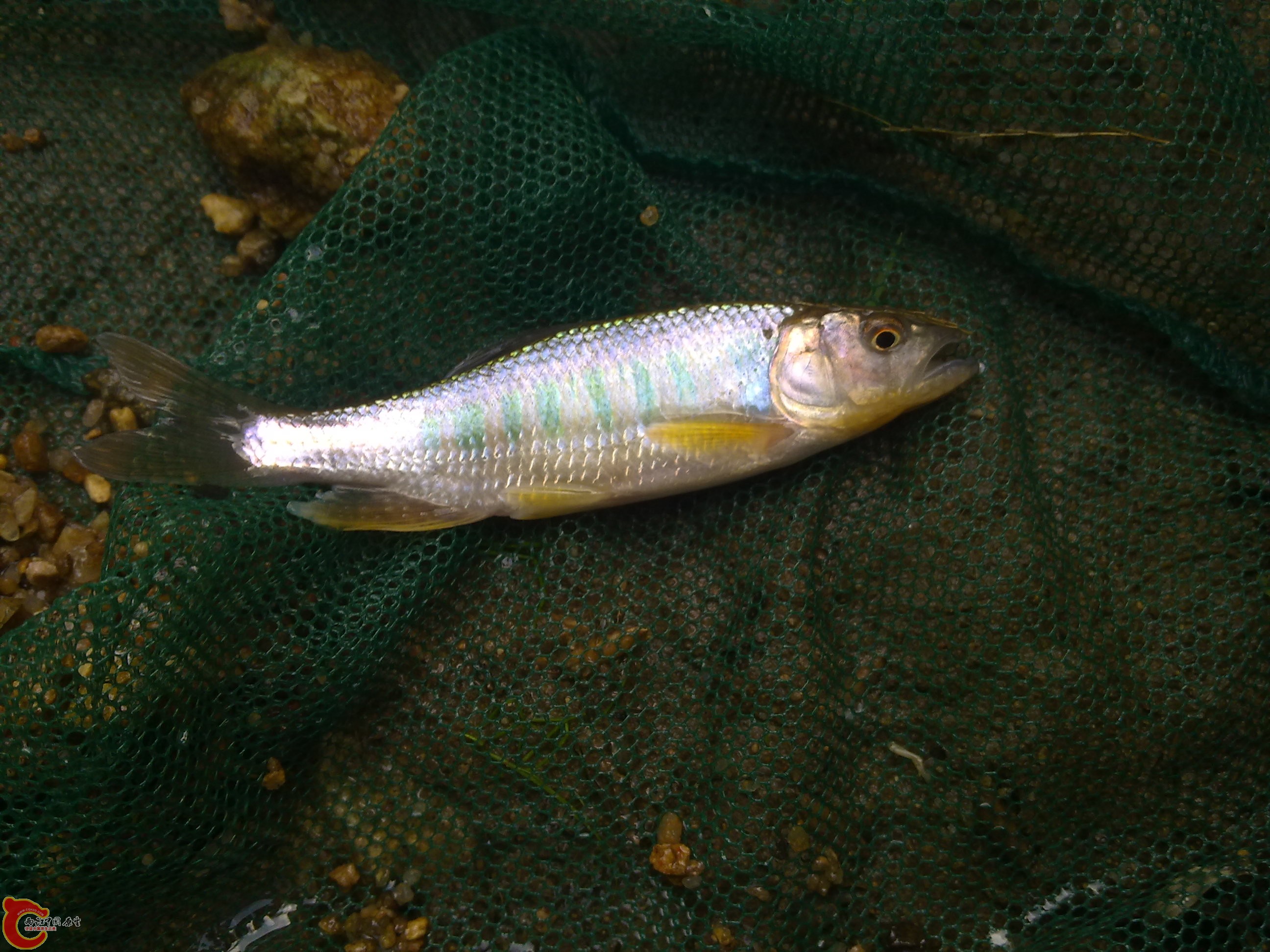 20110701388.jpg