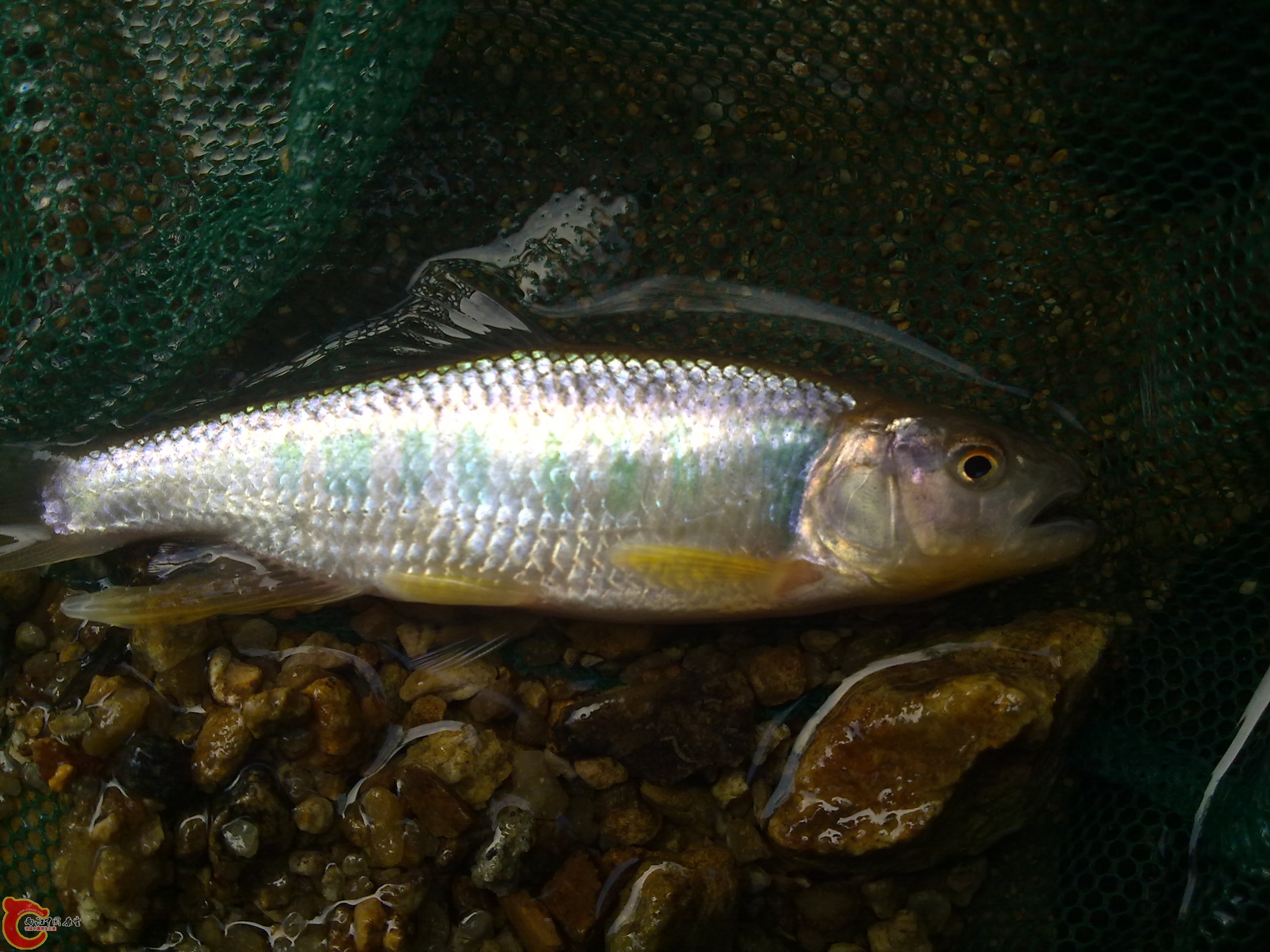 20110701396.jpg