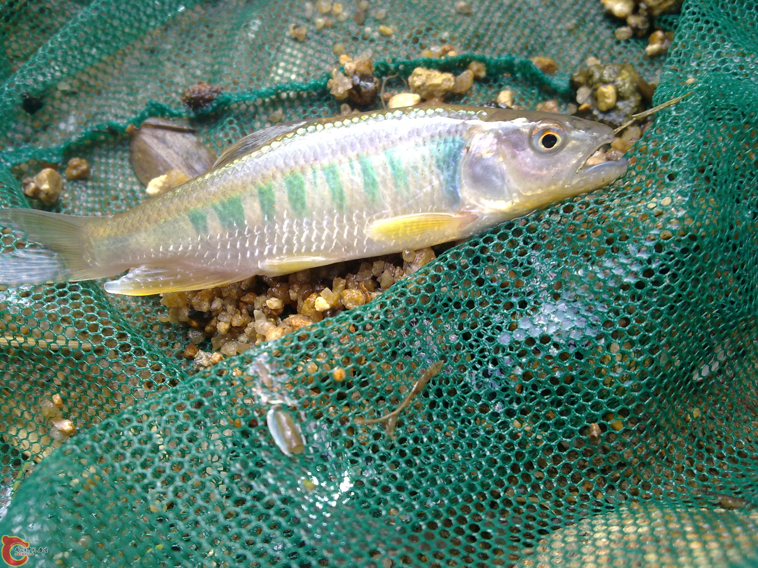 20110701389.jpg