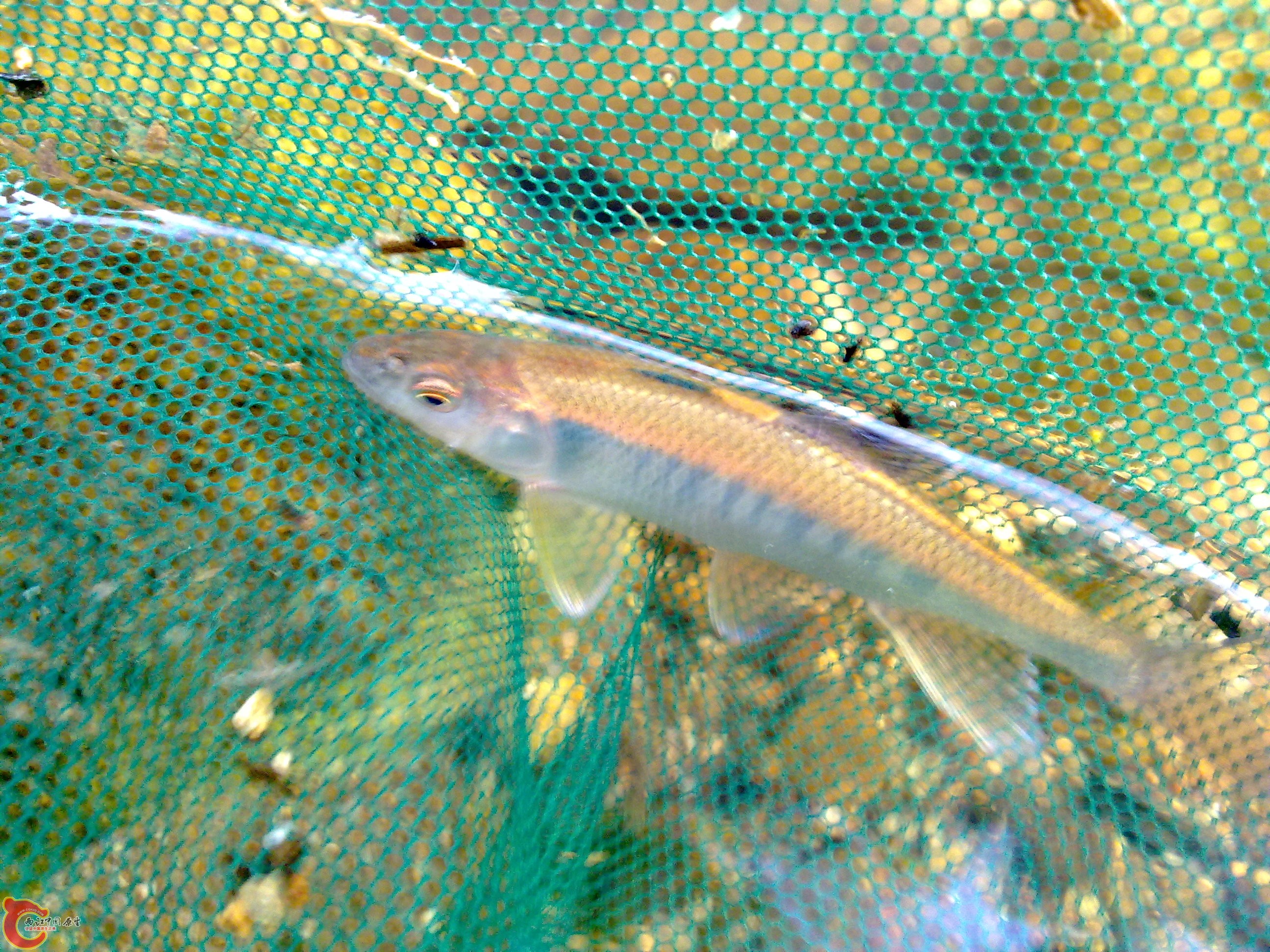 20110701392.jpg