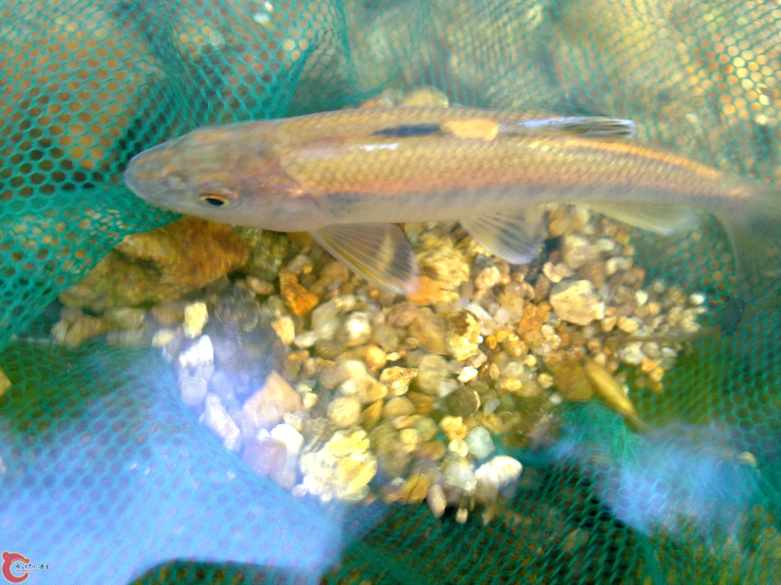 20110701393.jpg