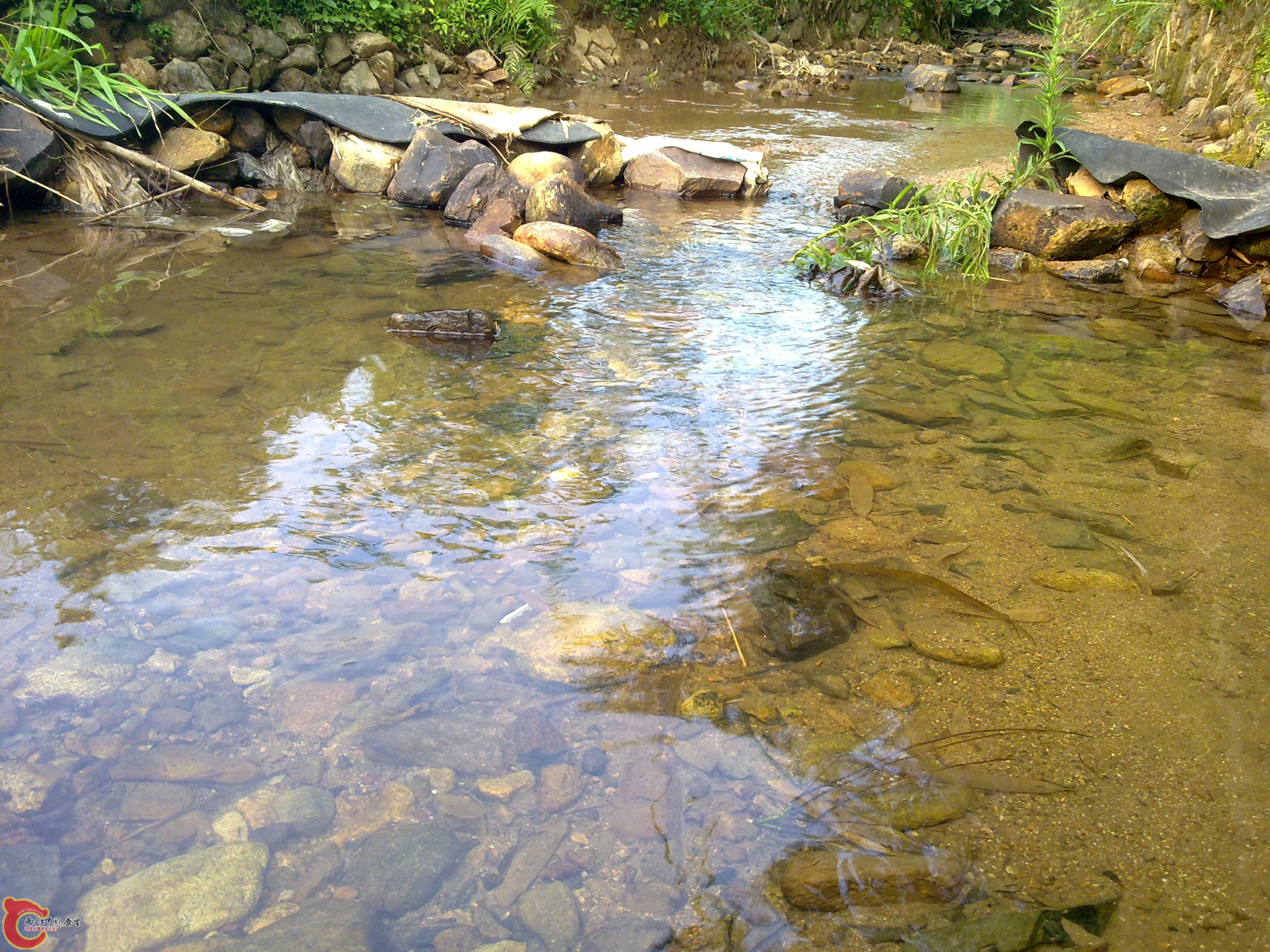 20110701404.jpg