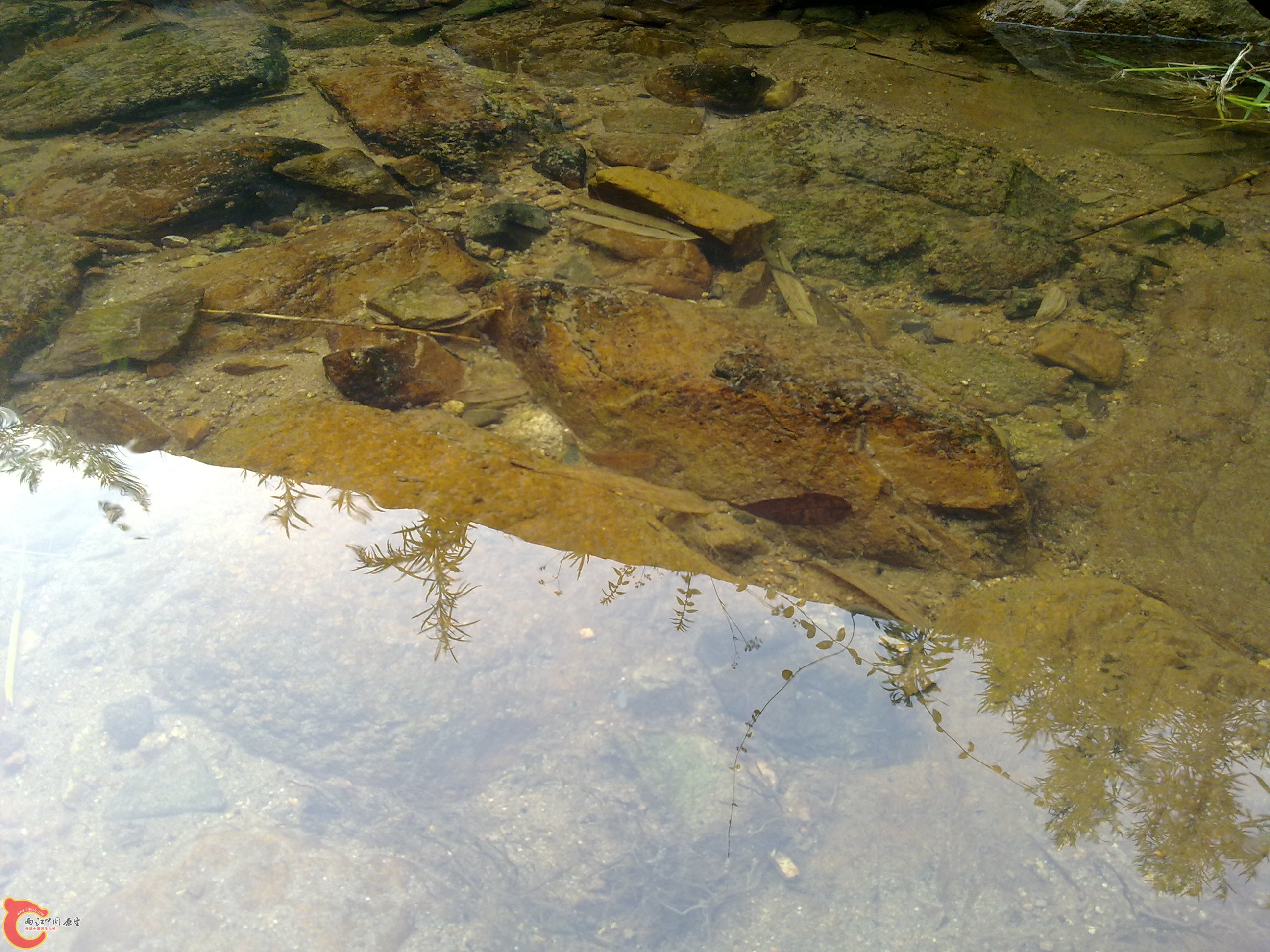 20110701403.jpg