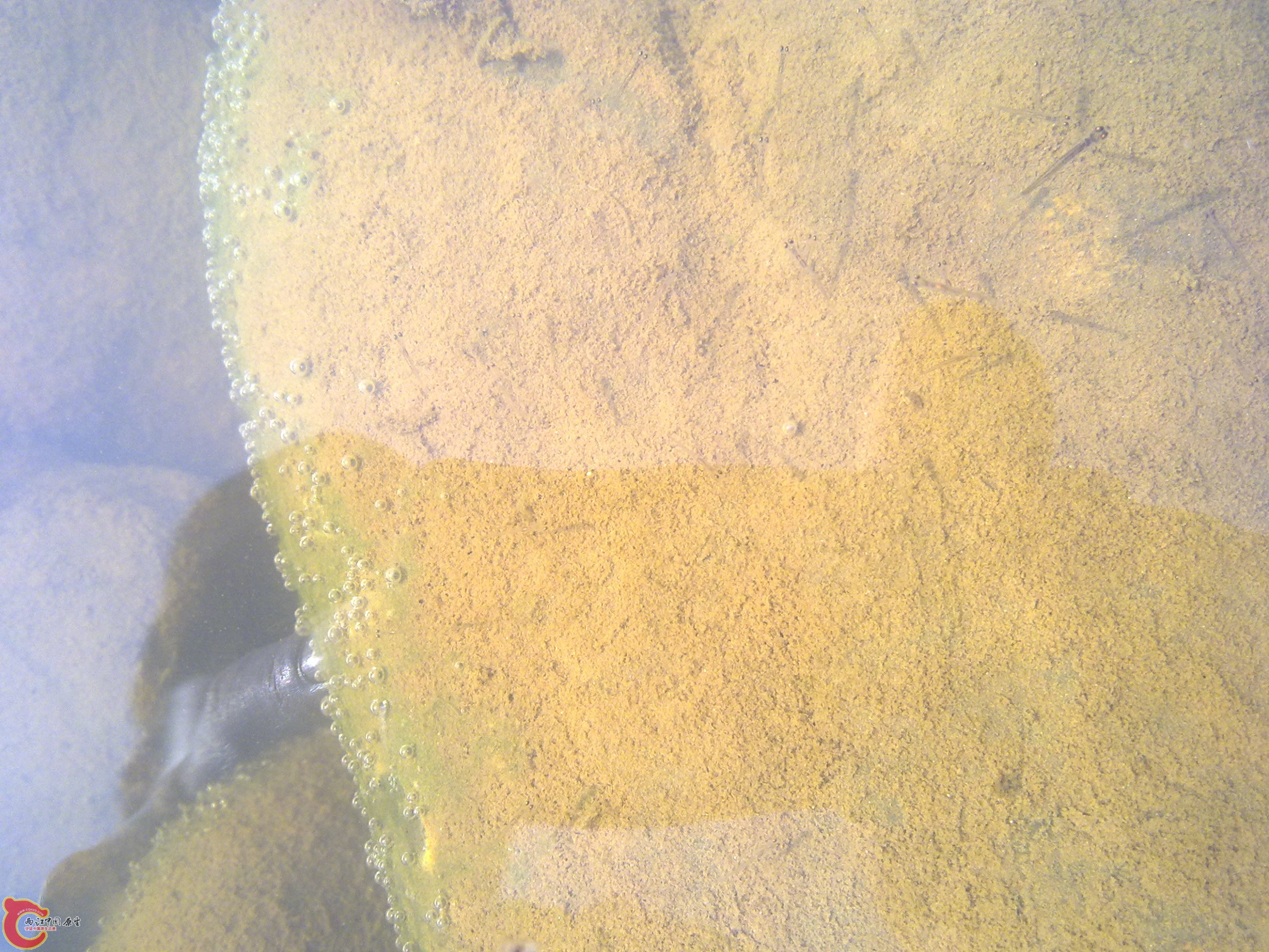 20110701369.jpg