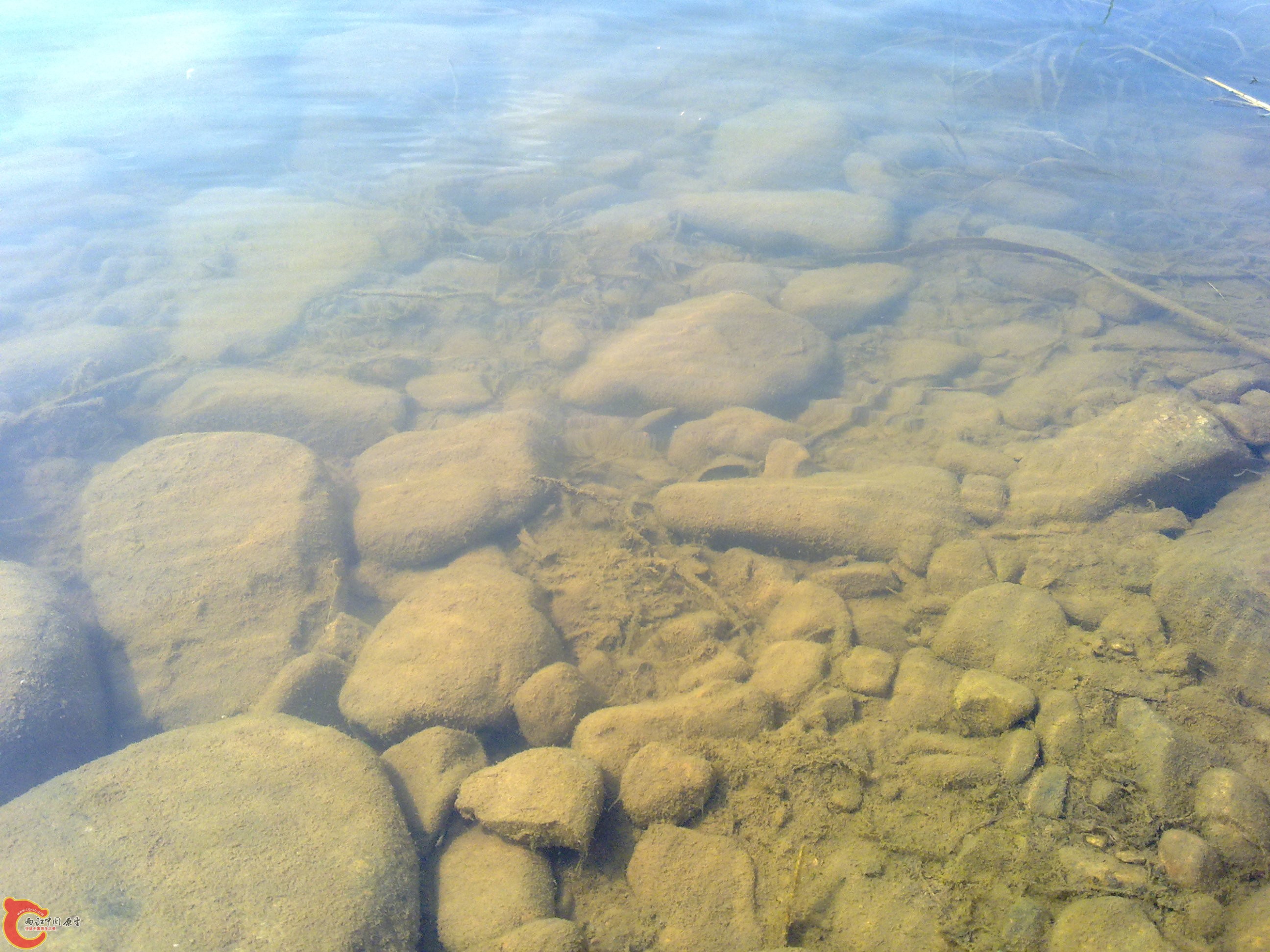 20110701363.jpg