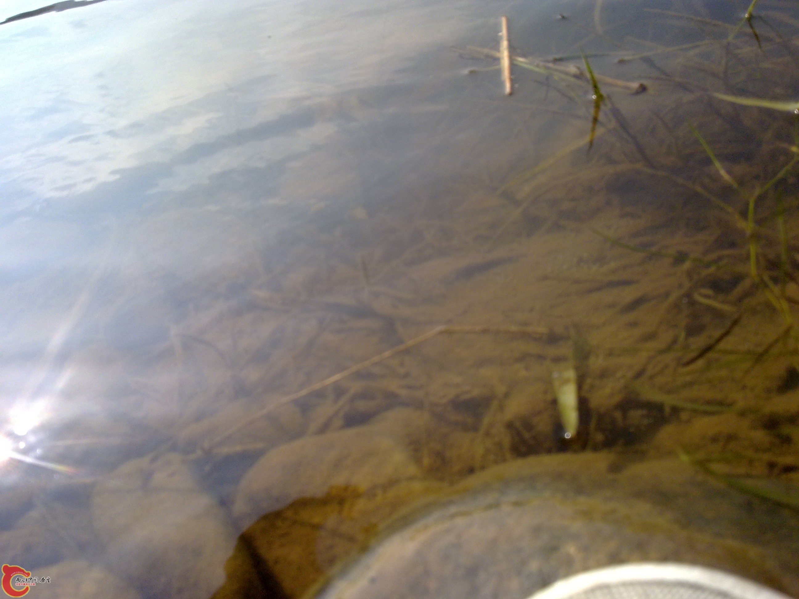 20110701364.jpg