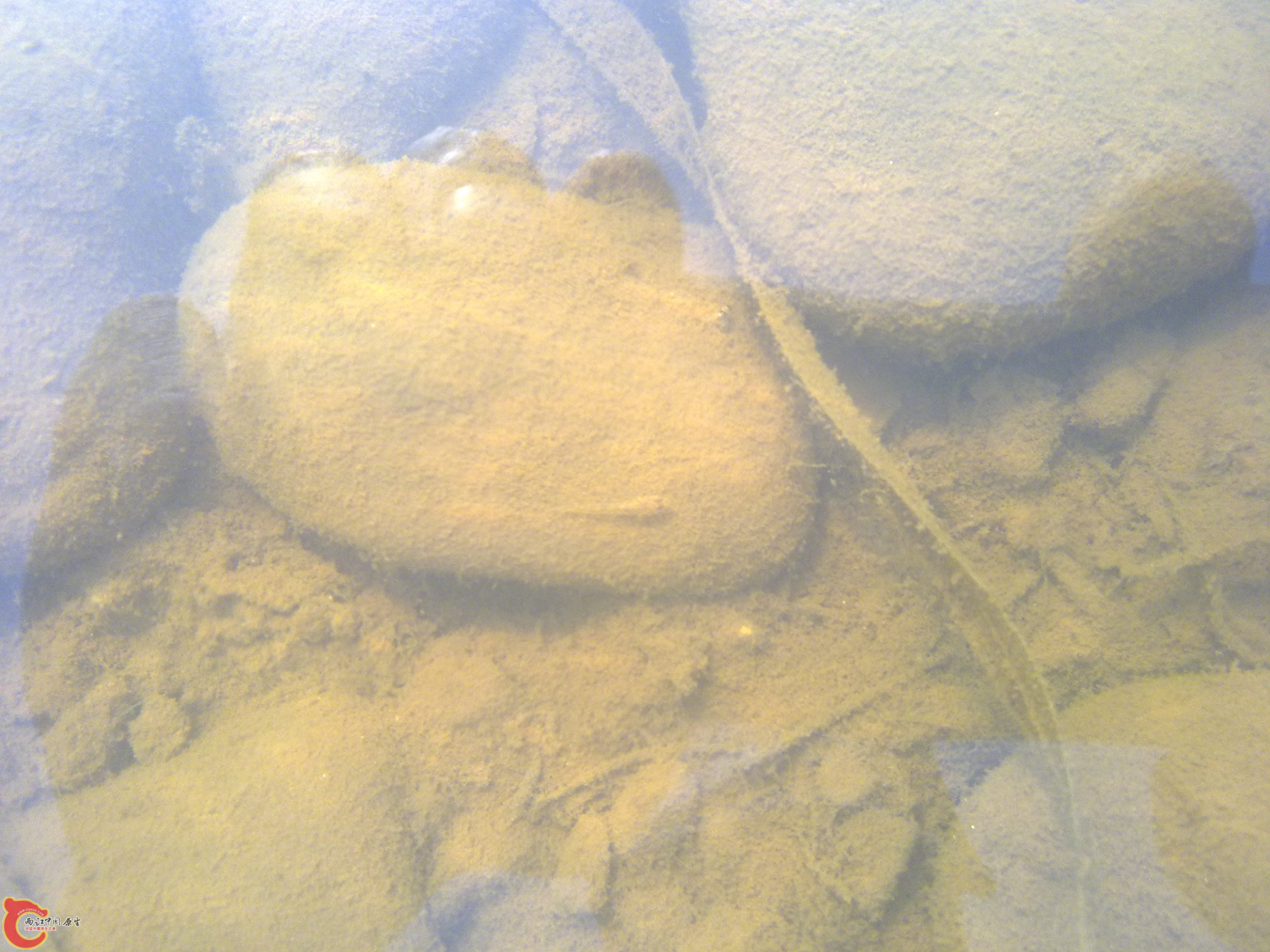 20110701365.jpg