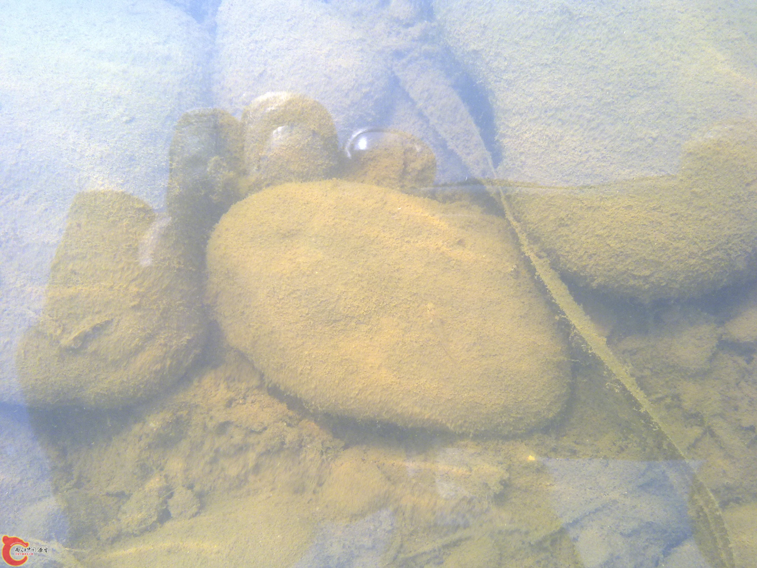 20110701366.jpg