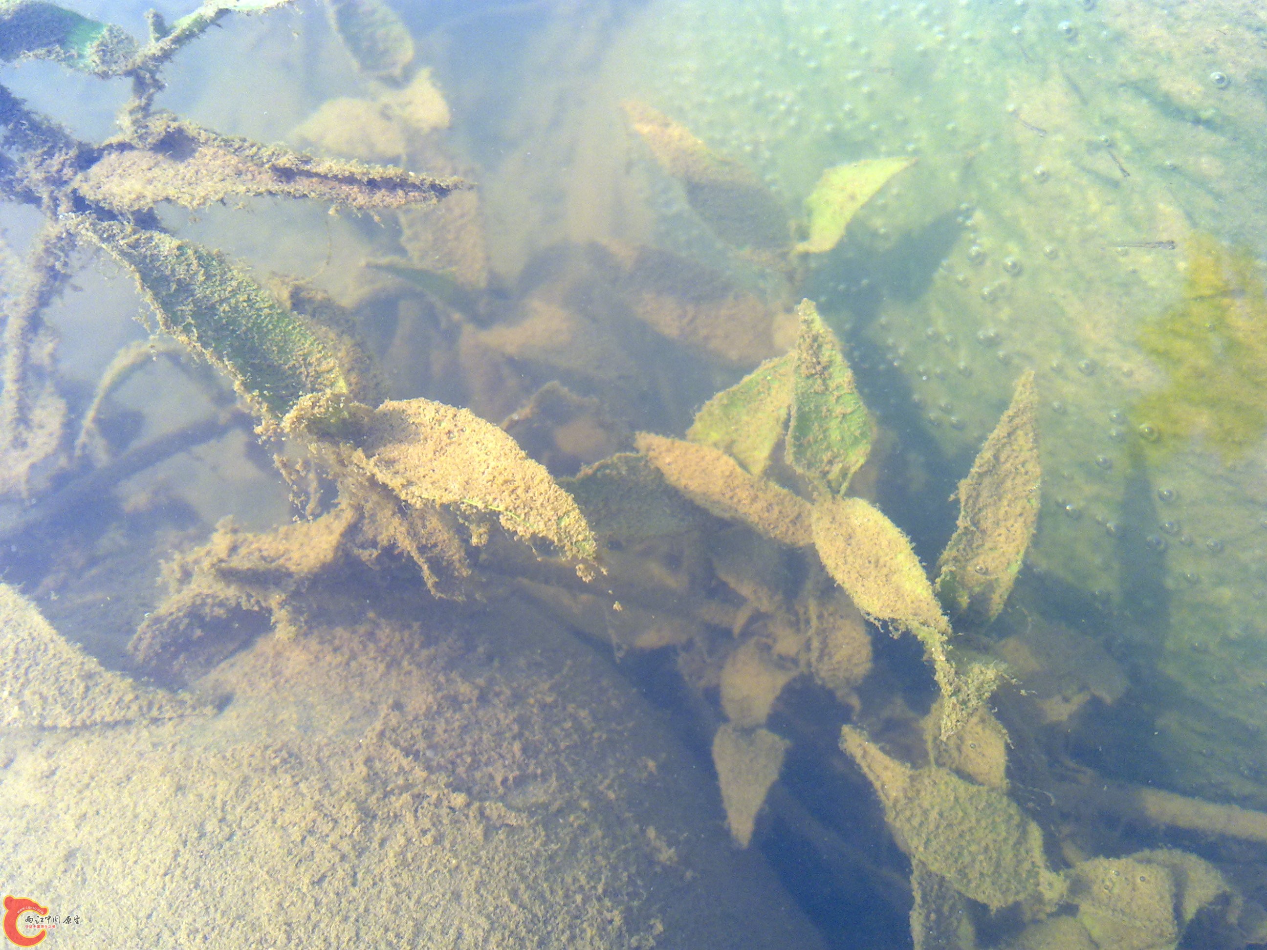 20110701368.jpg
