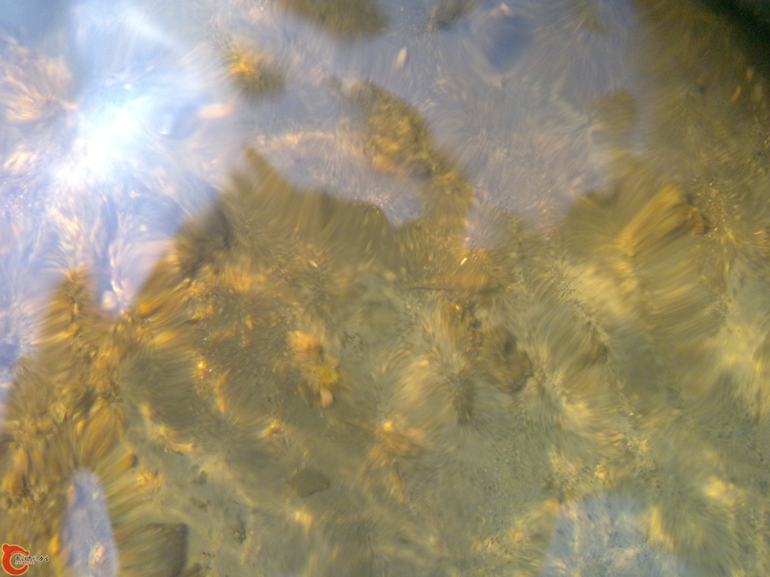 20110701378.jpg