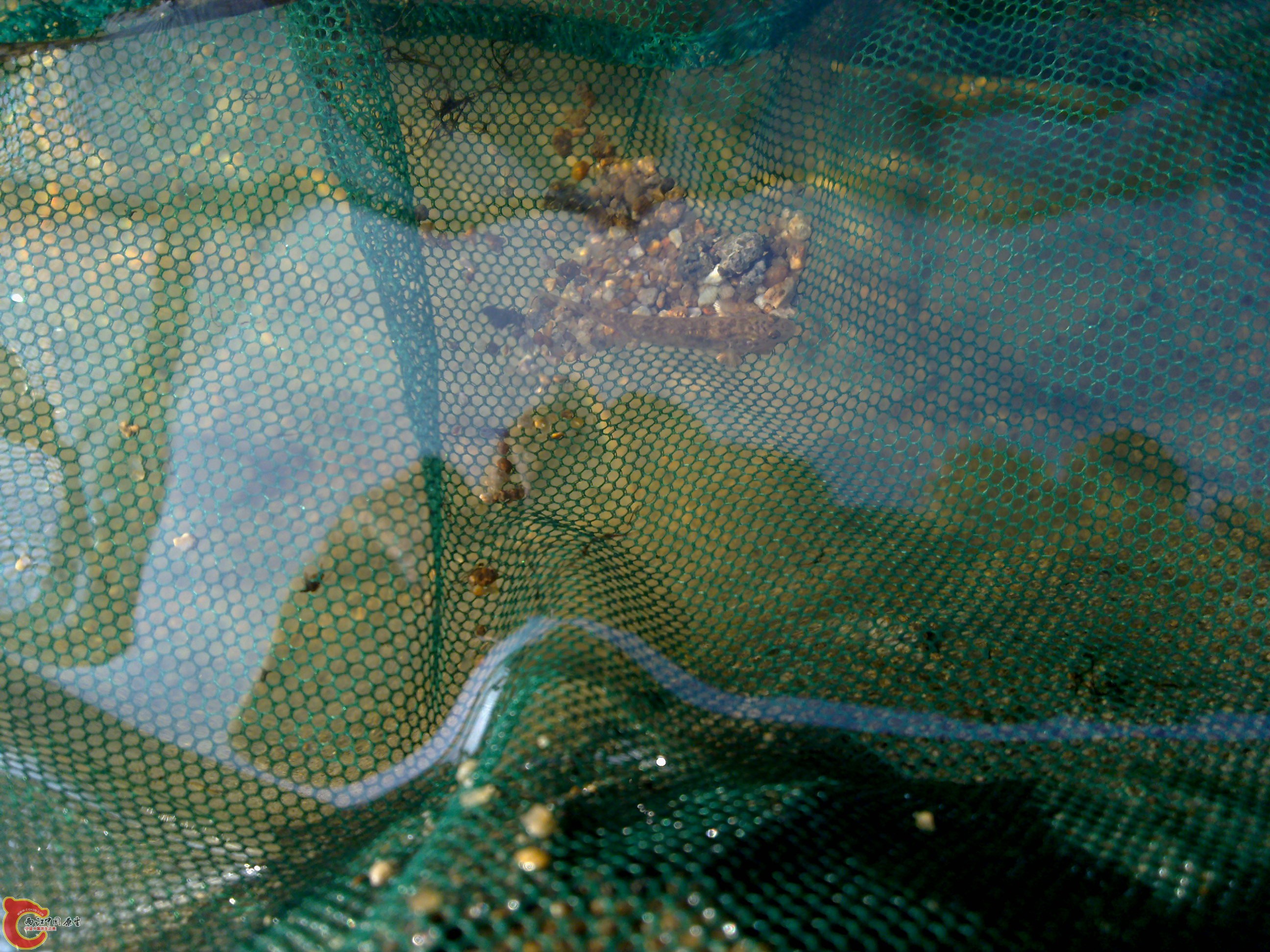 20110701372.jpg