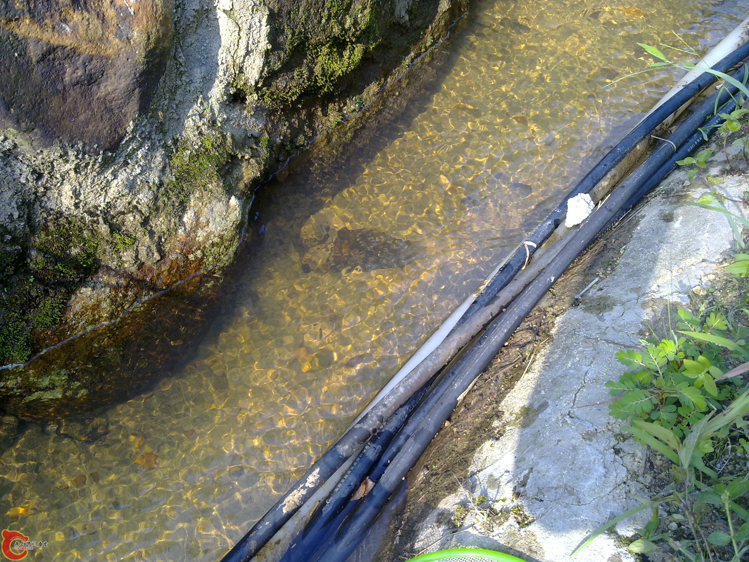 20110701375.jpg