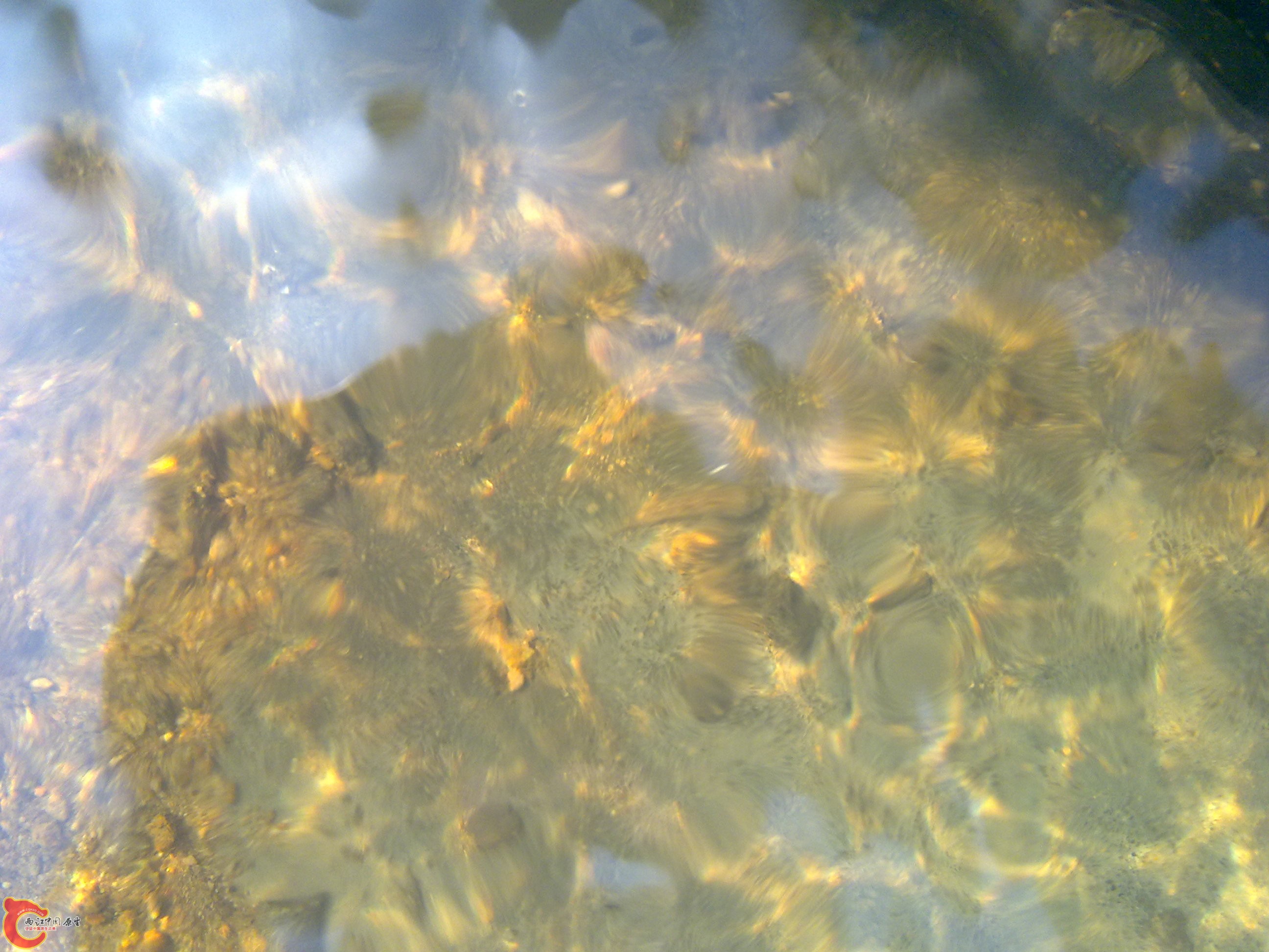20110701377.jpg