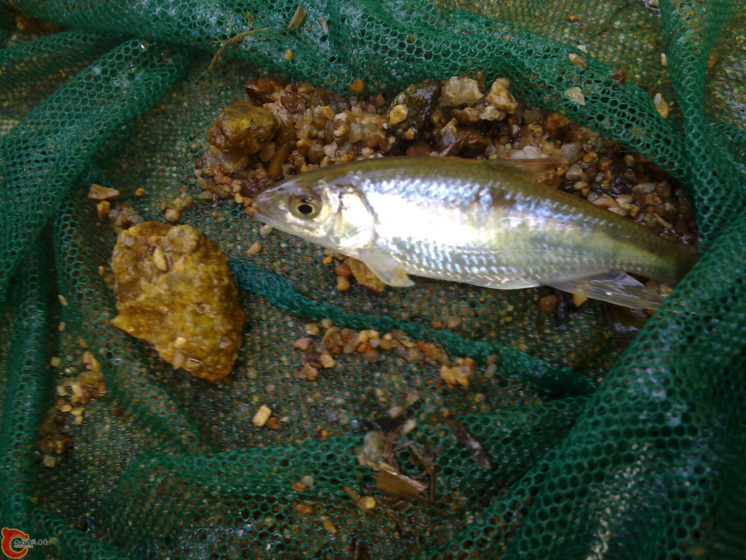 20110701384.jpg
