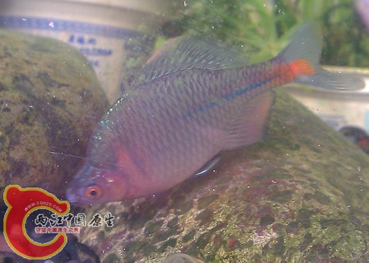 IMAG0350_副本.jpg