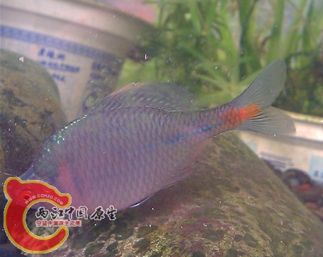 IMAG0351_副本.jpg