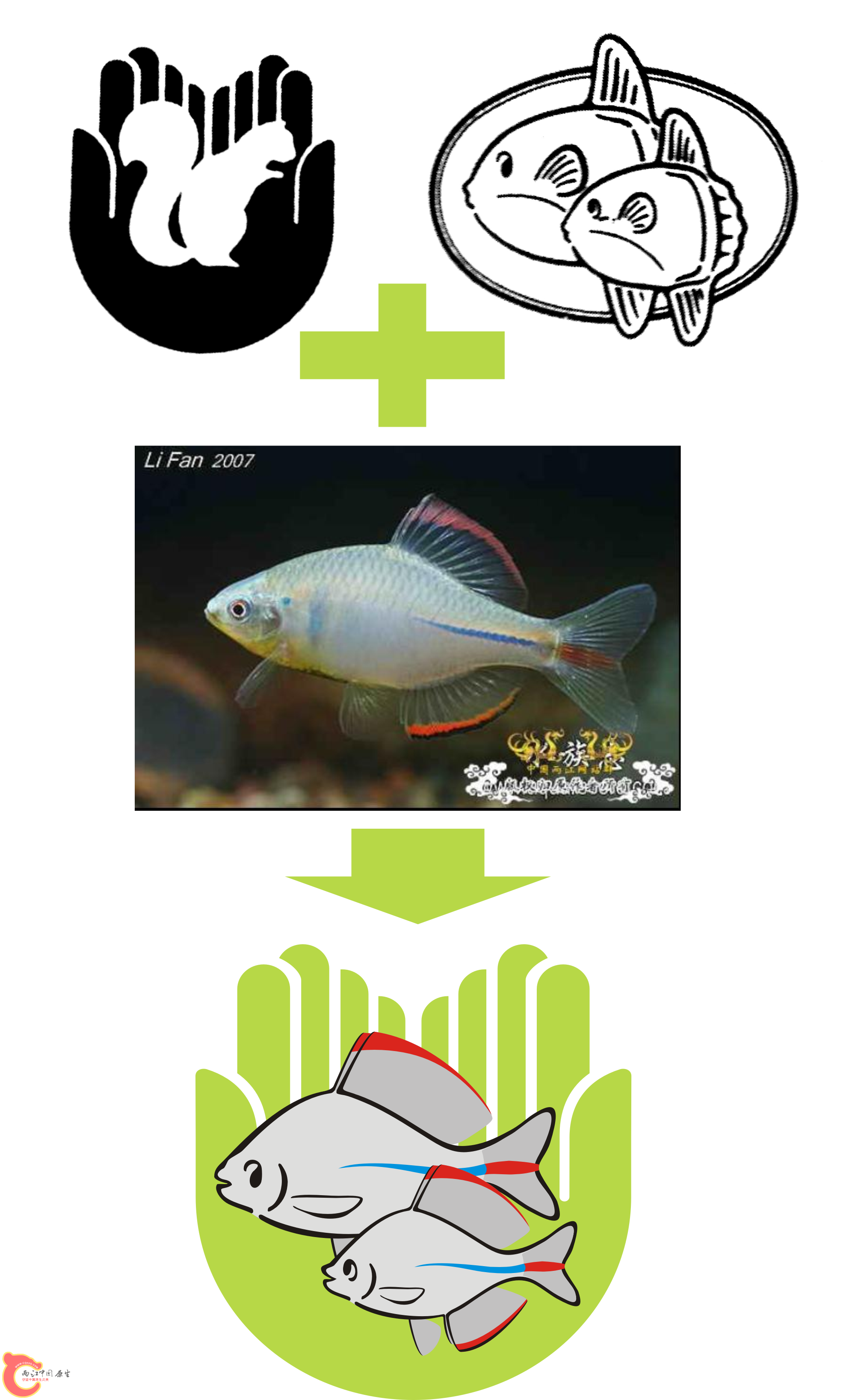 创意.png
