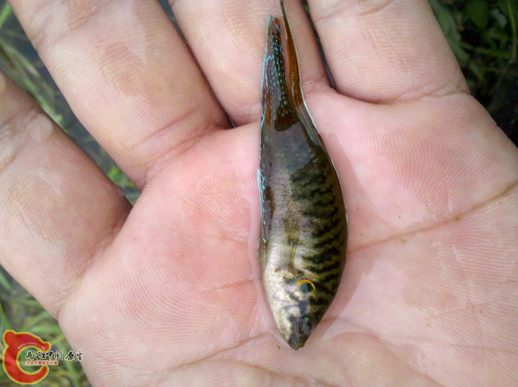 2011-07-02_12-07-40_546.jpg