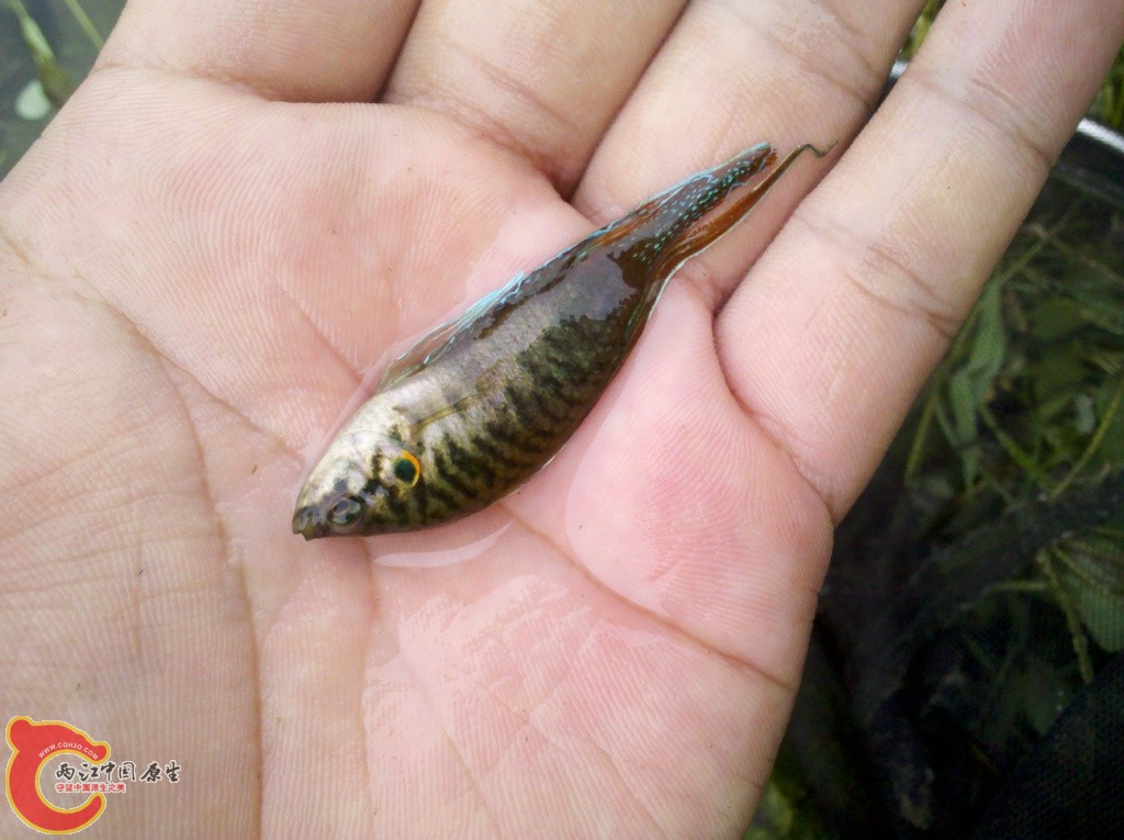 2011-07-02_12-07-44_163.jpg